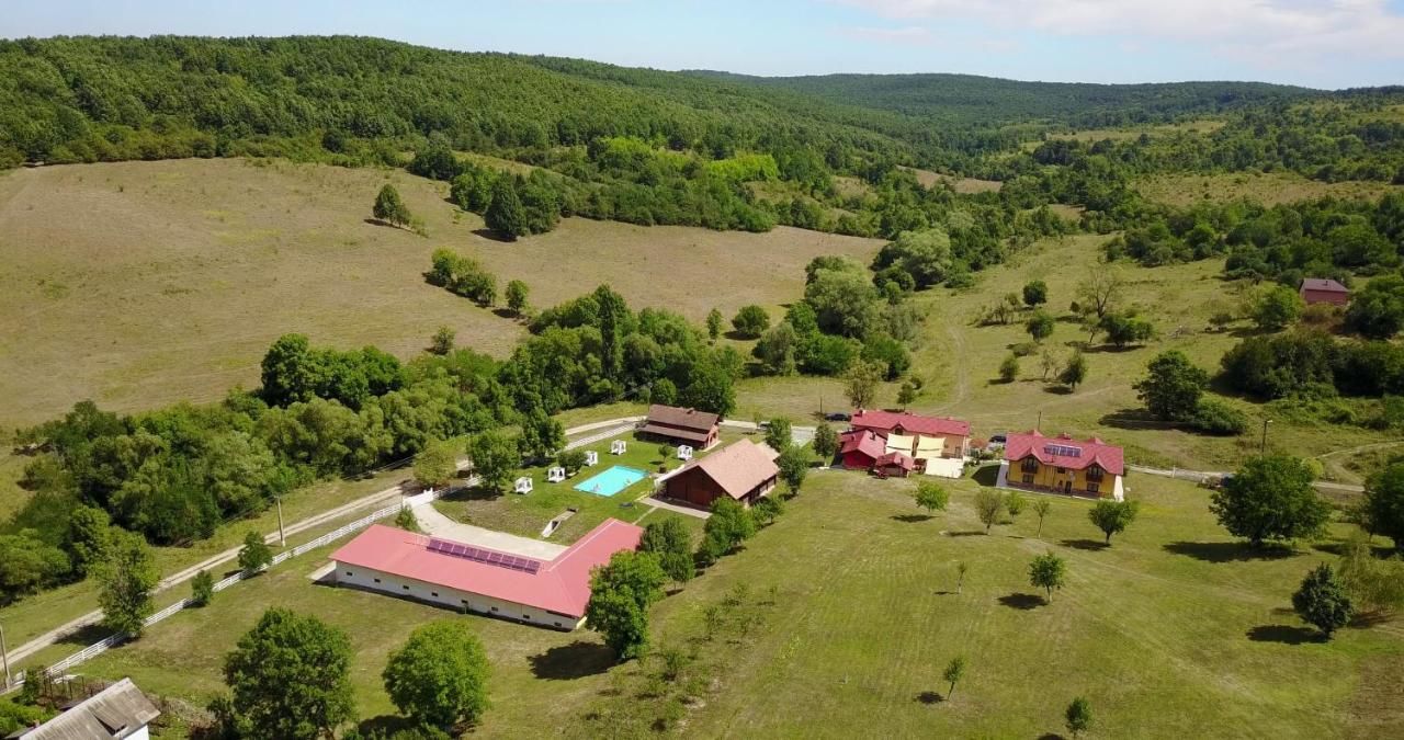 Фермерские дома Hotel Suite-Agrovillage Resort Labaşinţ-9